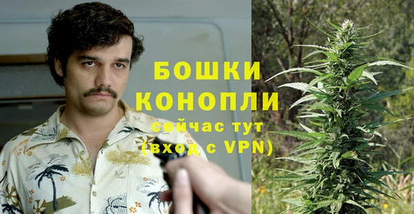 винт Каменка