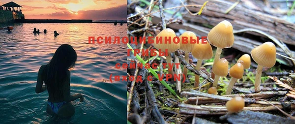 винт Каменка