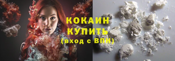 винт Каменка
